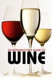 An Introductory Guide to Wine