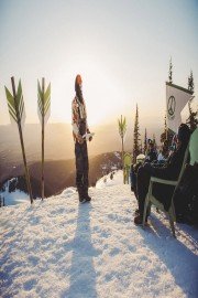 Danny Davis: Peace Park