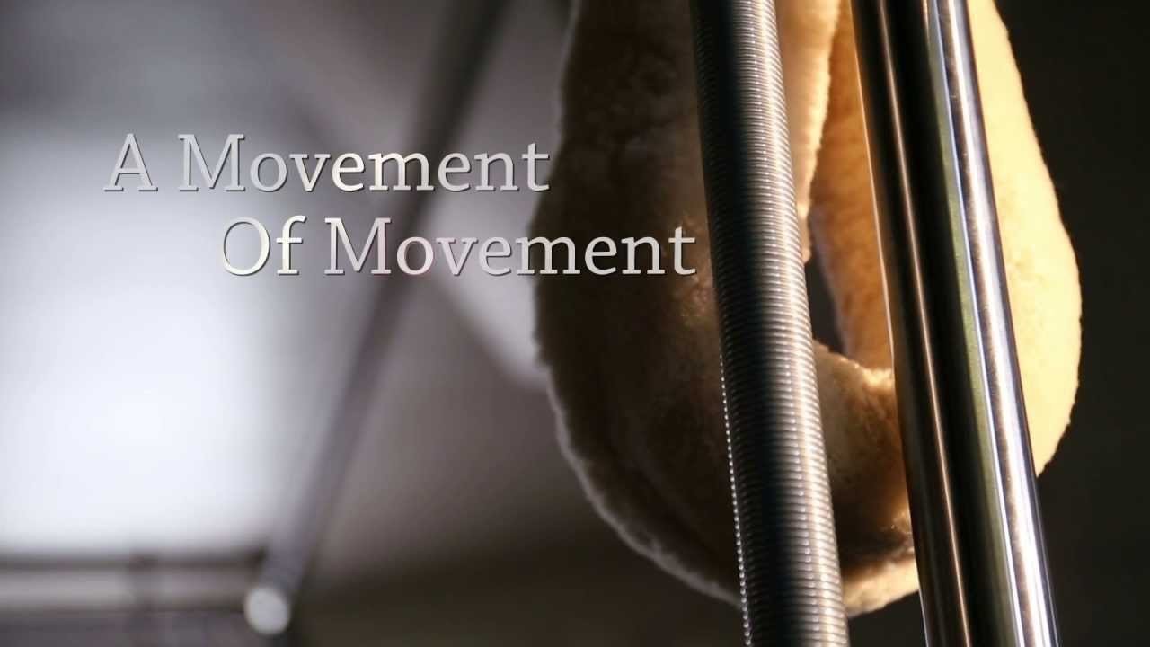 A Movement of Movement