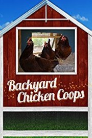 Backyard Chicken Coops