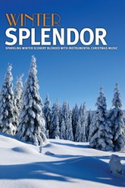Winter Splendor