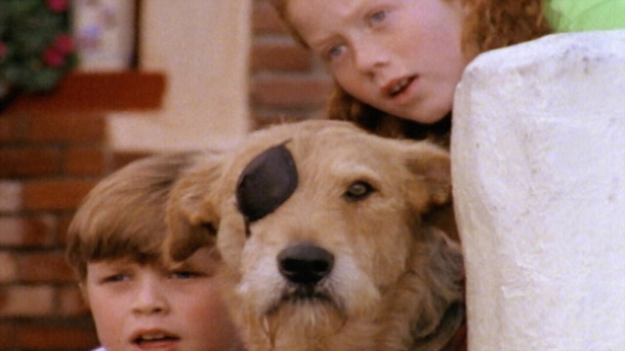 Sherlock Bones