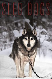 Sled Dogs