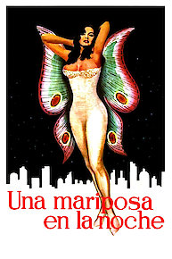 Una Mariposa en la noche