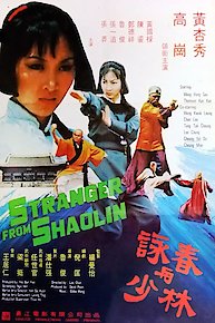 Stranger from Shaolin