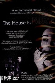 The House Is Black
