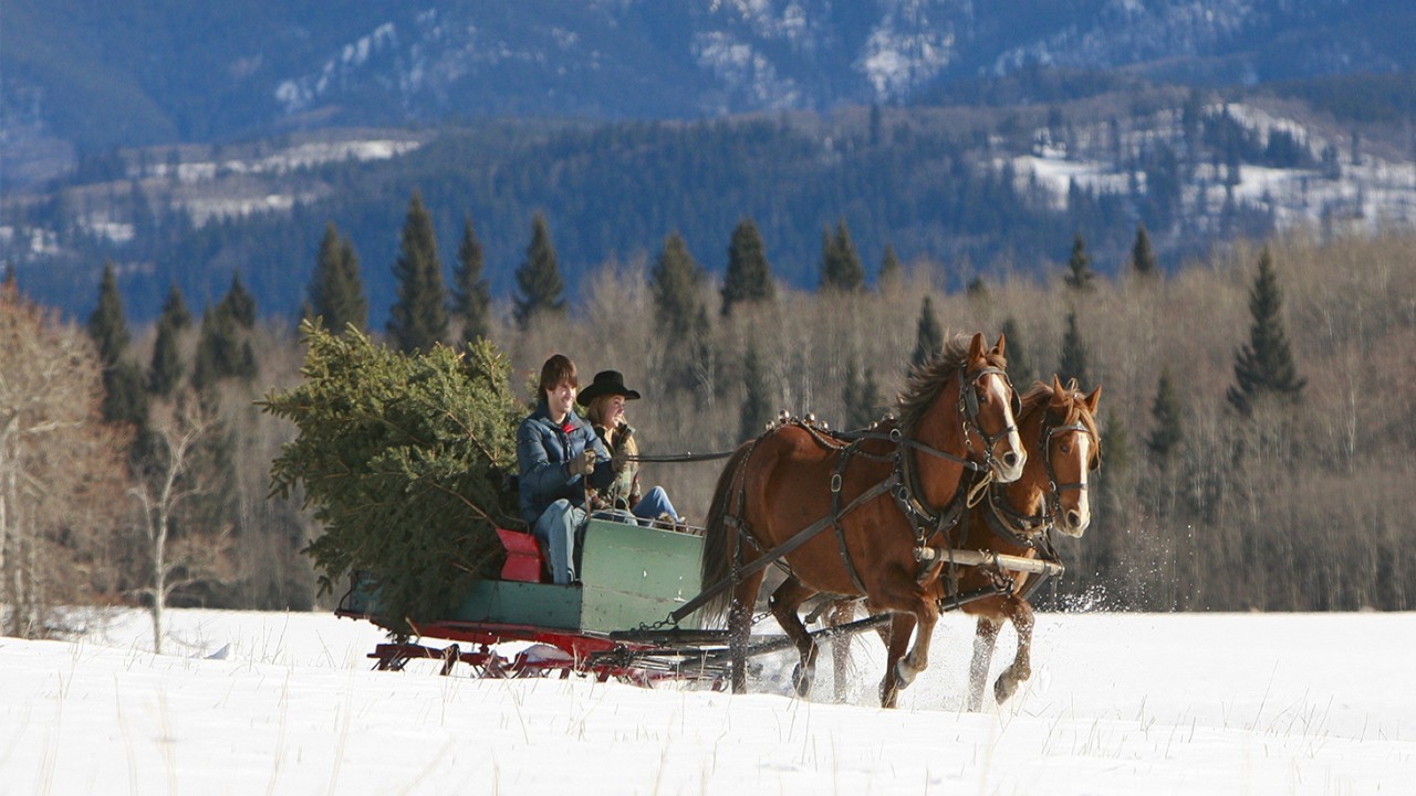 A Heartland Christmas