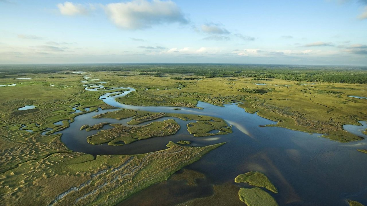 National Parks Exploration Series: The Everglades - A Subtropical Paradise