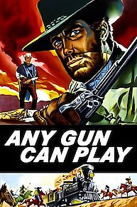 Any Gun Can Play