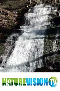 A Carpathian Mountain Waterfall