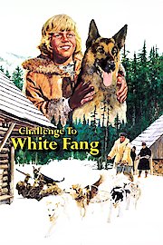 Challenge To White Fang