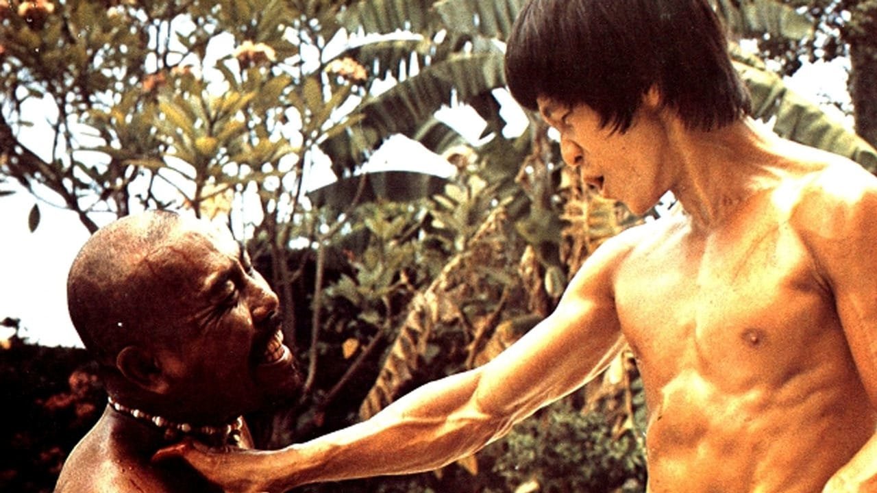 Ninja Vs. Bruce Lee