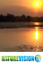 Romanian Sunset Over Water