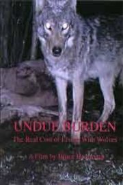 Undue Burden