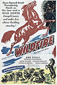 Wildfire