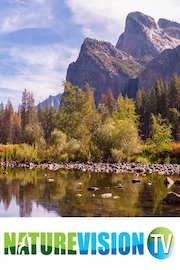 Yosemite Magic