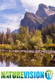 Yosemite Magic