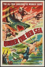Under the Red Sea