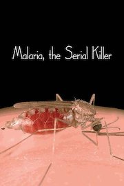 Malaria, the Serial Killer