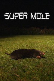 Super Mole