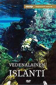 Underwater Iceland