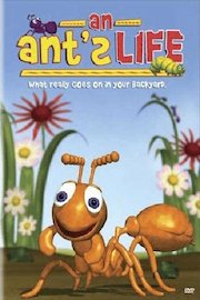 Ant's Life