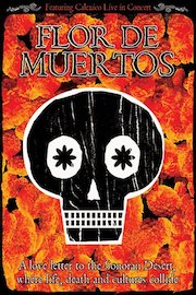 Calexico - Flor De Muertos