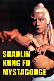 Shaolin Kung Fu Mystagogue