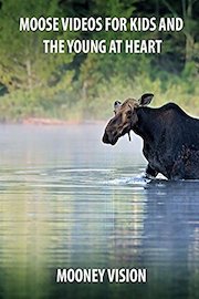 Moose Videos For Kids And The Young At Heart