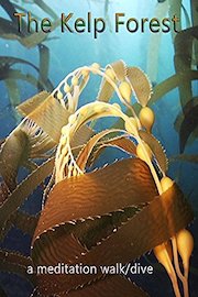 The Kelp Forest - a meditation walk/dive