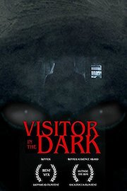 Visitor in the Dark