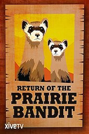Return of the Prairie Bandit