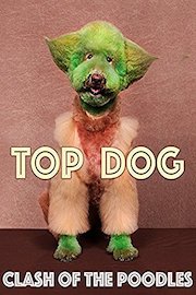 Top Dog - Clash of the Poodles