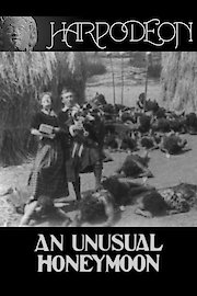 An Unusual Honeymoon