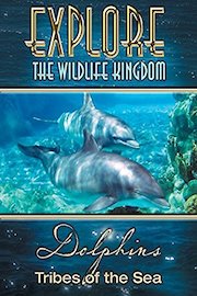 Explore The Wildlife Kingdom: Dolphins - Tribes of The Sea