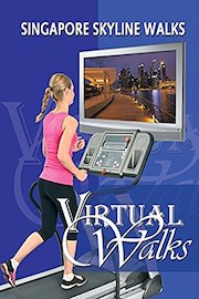 Singapore Day to Night City Walk