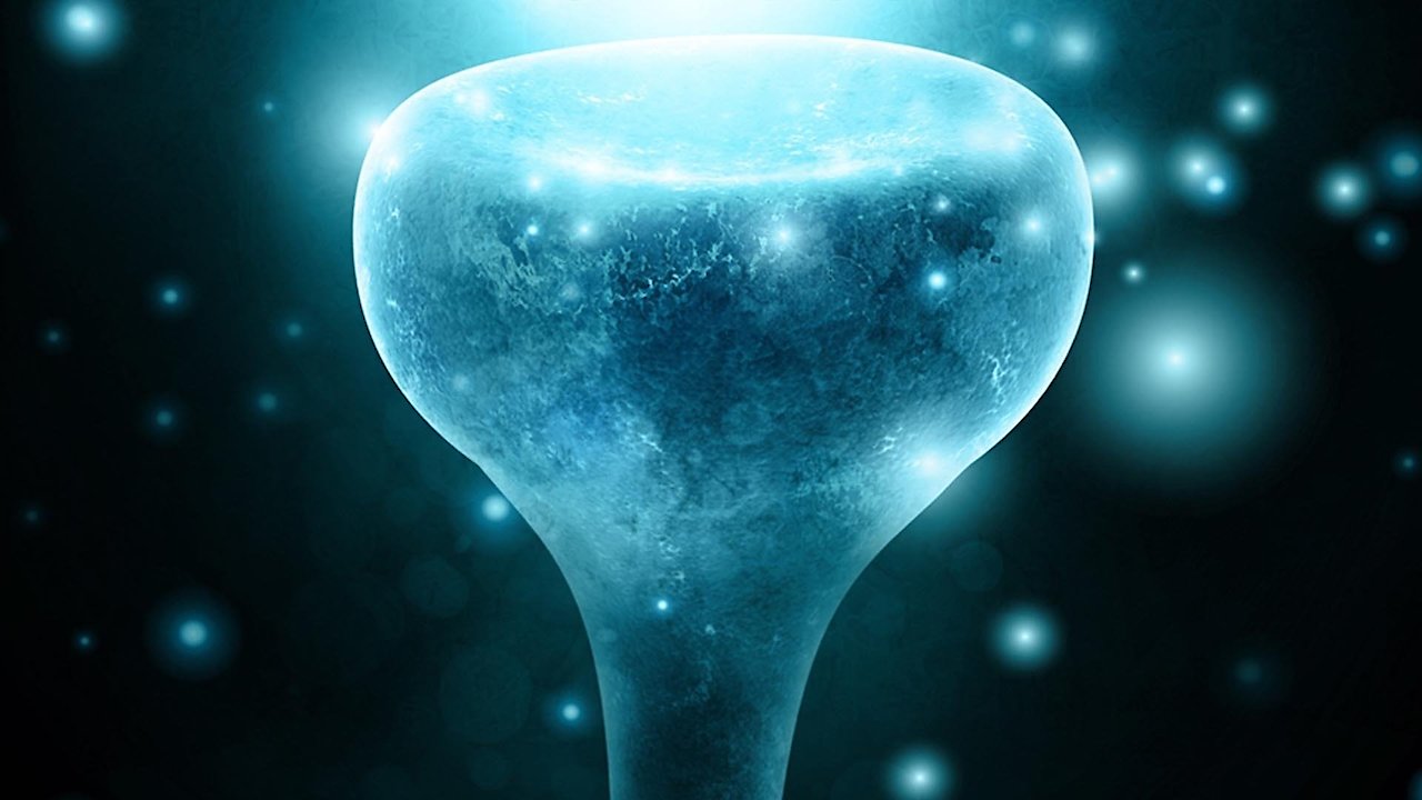 From Neurons to Nirvana: The Great Medicines