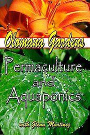 Olomana Gardens: Permaculture & Aquaponics
