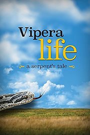 Vipera Life a serpent's tale