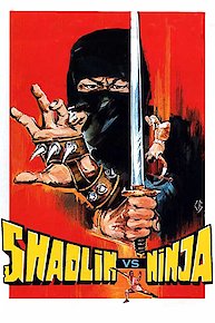 Shaolin Vs. Ninja