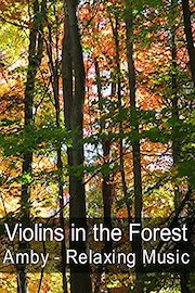 Violins in the Forest - Amby - Relaxing Music
