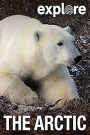 Explore: The Arctic