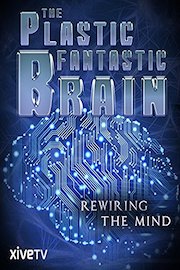 The Plastic Fantastic Brain: Rewiring the Mind