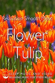 Flower Tulip Relaxing Music for Stress Relife