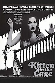 Kitten in the Cage