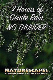 2 Hours of Gentle Rain No Thunder - Naturescapes