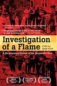 Investigation of a Flame