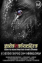 Gods in Shackles