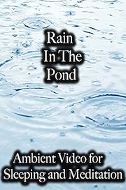 Rain In The Pond Ambient Video for Sleeping and Meditation