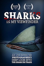 Sharks in my viewfinder